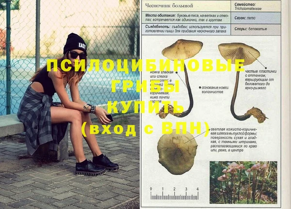 mix Нея