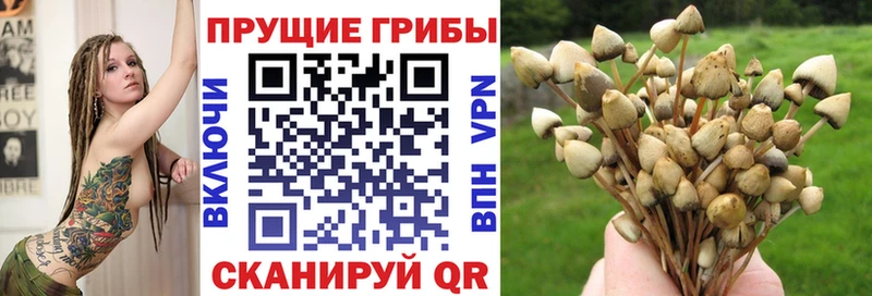 Галлюциногенные грибы Cubensis  Прохладный 