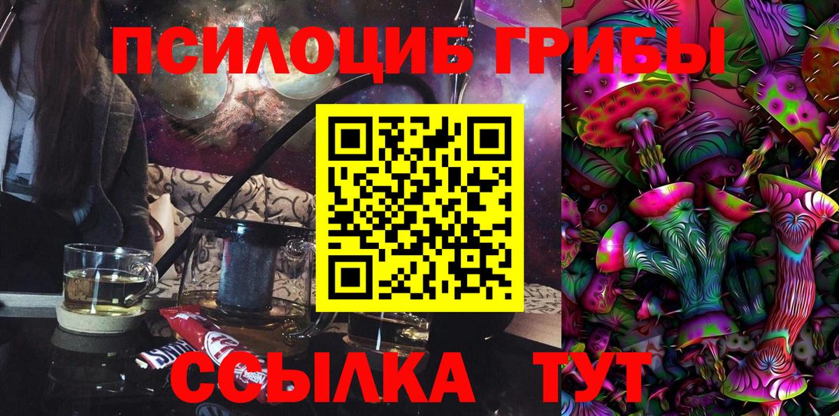 Прохладный  Псилоцибиновые грибы Psilocybe  Вход с VPN 