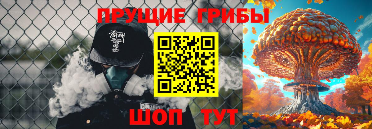 Псилоцибиновые грибы GOLDEN TEACHER Прохладный