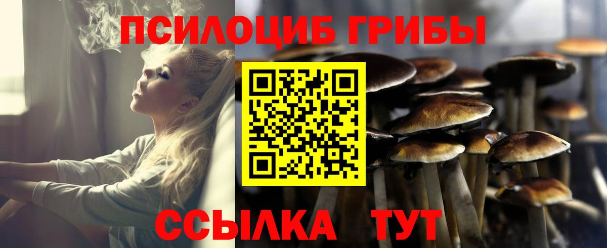 Псилоцибиновые грибы GOLDEN TEACHER Прохладный