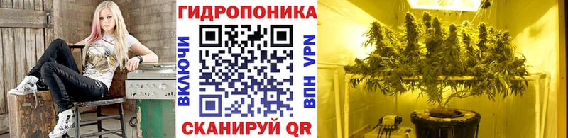 Марихуана ГИДРОПОН  мориарти как зайти  Прохладный  наркотики 